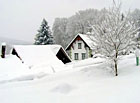Penzion Lesovna Žofín v zimě.