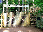 Žofínský prales - vstupní brána.