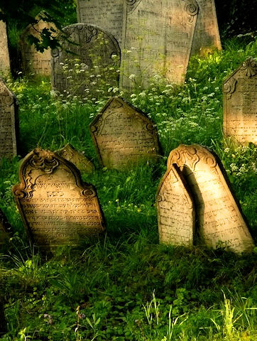 Židovský hřbitov Mikulov | Pálava