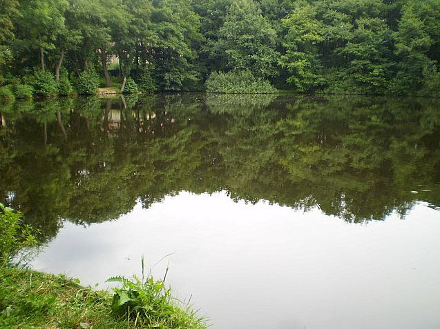 Rybník v městské části Benešov-Pavlov