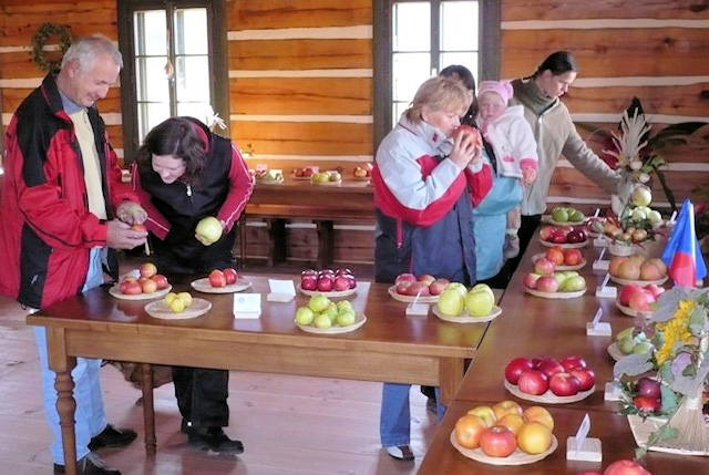 Podorlický skanzen Krňovice - výstava ovoce