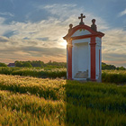 Výklenková kaple stojí v polích mezi Litovicemi a Hájkem. Byla opravena v roce 2000.

