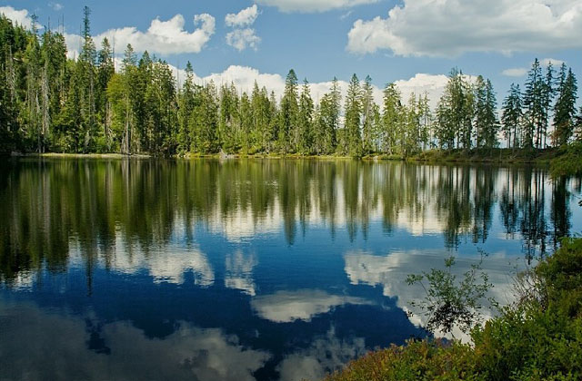 Prášilské jezero, Šumava