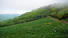 Lopenické sedlo je působivé místo s krásnými pastvinami a parádním výhledem do údolí Výškovecké Bošáčky.

