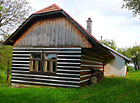 Prstnatec bezový | přírodní památka Pod Hribovňou.
