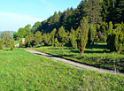 Nejzachovalejší a nejrozsáhlejší jalovcová pastvina v Bílých Karpatech s bohatým porostem jalovce obecného (Juniperus communis). Krajinářsky velmi hodnotné území, výskyt ohrožených a zvláště chráněných druhů rostlin.


