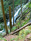 Hluboce zaříznuté kaňonovité údolí Bílého potoka s největším šumavským vodopádem - měří 13 metrů.

