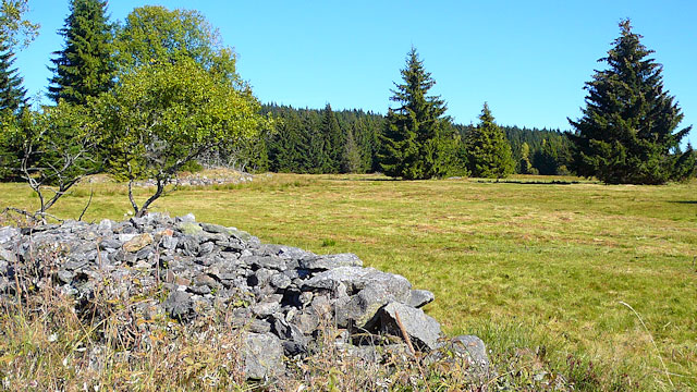 Pastvina s kamennou zídkou pod Bučinou na Šumavě