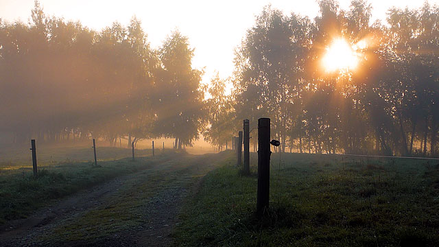 Svítání na pastvinách u Horní Pestřice, Šumava