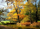 Barvy podzimu. Průhonický park je jeden z největších přírodně krajinářských parků Evropy a jeden z nejvýznamnějších zámeckých parků v ČR. Vyniká důmyslnými průhledy a mimořádnou krásou barev od jara do podzimu; roste tu 1 600 druhů dřevin.

