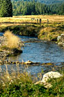 Roklanský potok se žulovými balvany, Šumava.