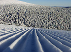 Sjezdovka A. Ski centrum Praděd je nejvýše položený lyžařský areál v ČR – sjezdovky na severním svahu Petrových kamenů leží v nadmořské výšce až 1445 m. Oblasti se příznačně přezdívá moravský ledovec.

