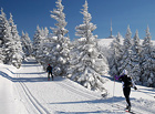 Švýcárna. Ski centrum Praděd je nejvýše položený lyžařský areál v ČR – sjezdovky na severním svahu Petrových kamenů leží v nadmořské výšce až 1445 m. Oblasti se příznačně přezdívá moravský ledovec.

