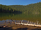 Černé jezero, Šumava.