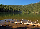 Plešné jezero, Šumava.