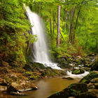 Desetimetrový umělý vodopád, který nechal založit v r. 1817 hrabě Buquoy v rámci tvorby romantického krajinného lesoparku Terčino údolí. Je napájený téměř 1 km dlouhým náhonem z říčky Stropnice.

