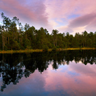 Největší rašelinné jezírko v Jeseníkách, které zároveň patří k největším v ČR. Jezírko je součástí národní přírodní rezervace Rejvíz a vede k němu naučná stezka.

