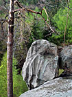 Žulová skála v národní přírodní památce Venušiny misky.