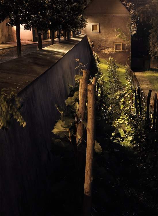 Vinice sv. Jana na Úvoze v noci | Strahovská zahrada