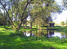 Vodní park Čabárna - zátiší u jezírka.