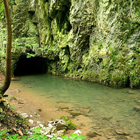 Národní přírodní rezervace Vývěry Punkvy je největší rezervací v CHKO Moravský kras. Najdete tu krasové kaňony Suchý a Pustý žleb a četné jeskyně – např. vchod do Amatérské jeskyně, nejdelšího jeskynního systému na území ČR.

