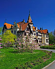 Anglický park u zámku Lešná.