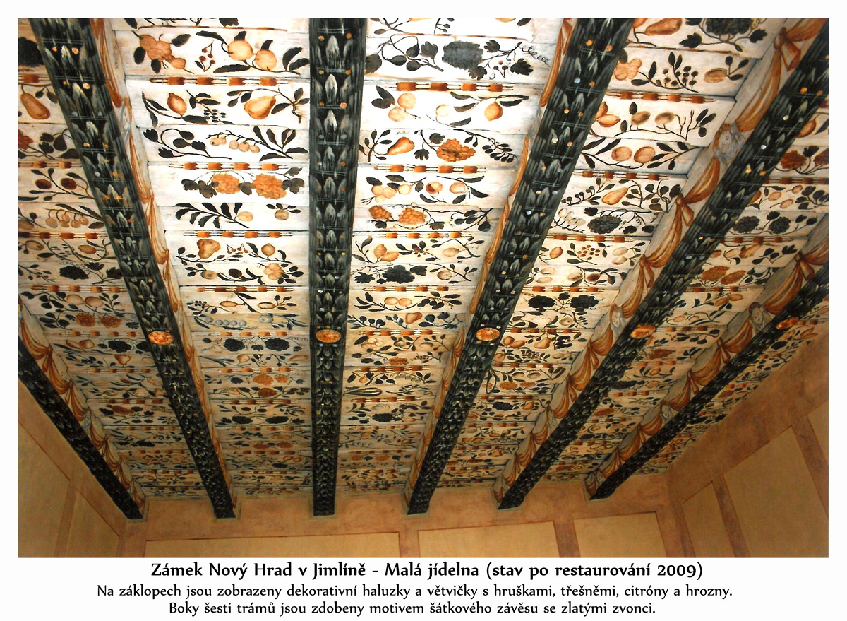 Záklopový strop v Malé jídelně | zámek Nový Hrad Jimlín