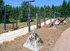 Ostnaté dráty signální stěny, Bučina, Šumava.