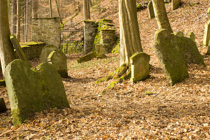 Židovský hřbitov Podbřezí (Skalka) – náhrobky