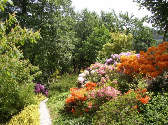 Arboretum Šmelcovna - okrasná část