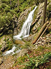 Kaňonovité údolí Bílá strž u Hojsovy Stráže skrývá největší vodopád na Šumavě – měří 13 m a tvoří jej několik stupňů a kaskád (nejvyšší stupeň má 7 m). V řečišti pod vodopádem proudící a vířící voda vyhloubila tzv. obří hrnce. Lesy v okolí vodopádu mají pralesovitý ráz a místy dosahují věku až 240 let. Národní přírodní rezervace.


