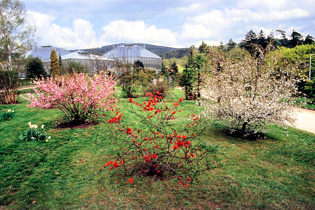 Botanická zahrada Liberec - venkovní expozice