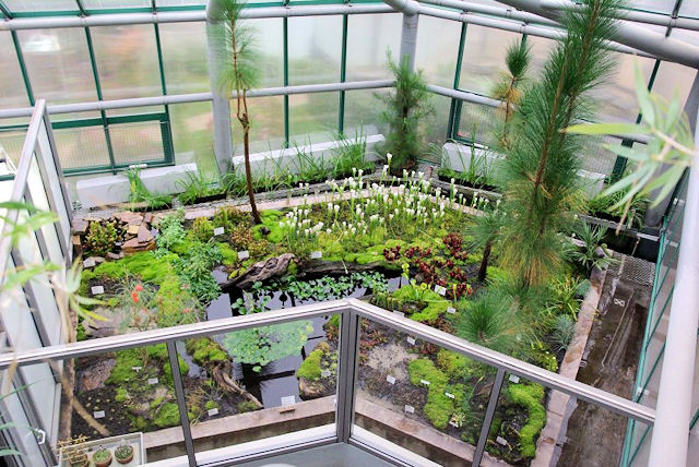 Botanická zahrada Liberec - expozice masožravých rostlin