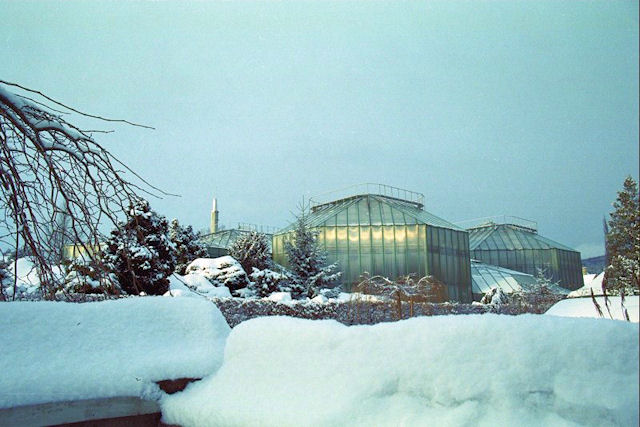 Botanická zahrada Liberec v zimě