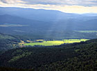 Panoramatický výhled z rozhledny Boubín, Boubínský prales.