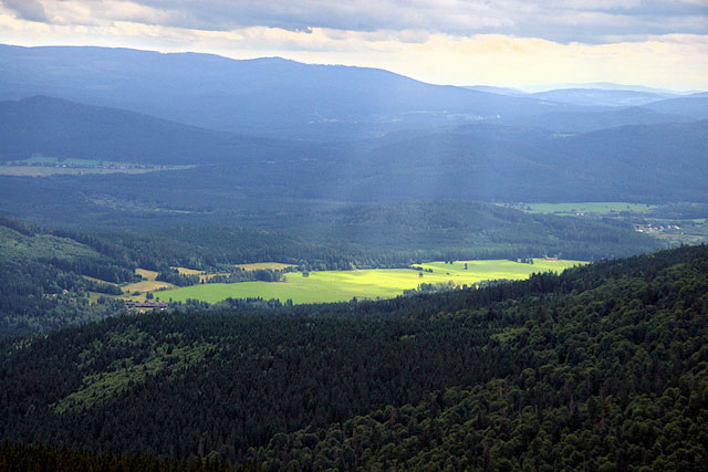 Panoramatický výhled z rozhledny Boubín, Boubínský prales