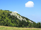 Hora na hlavním hřebeni Hrubého Jeseníku s vrcholem nad horní hranicí lesa (1358 m n. m.). Mohutné kamenné proudy a kamenná moře na svazích patří k nejcennějším na našem území. V nejbohatší hrubojesenické populaci zde roste jalovec obecný nízký.

