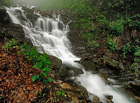Hlavní kaskáda Bučacího potoka od silničky protínající rezervaci. Bučací potok je divoký horský vodní tok, který protéká stejnojmennou přírodní rezervací v délce 1,2 km. Bučací vodopád s výškou 6,4 m patří k nejvyšším vodopádům v moravské a slezské části Karpat.

