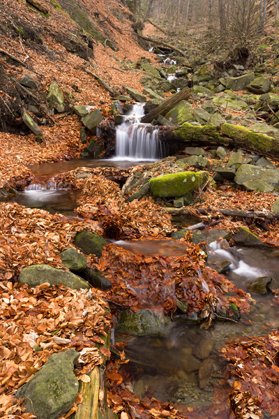 Bučací potok, přírodní rezervace | CHKO Beskydy