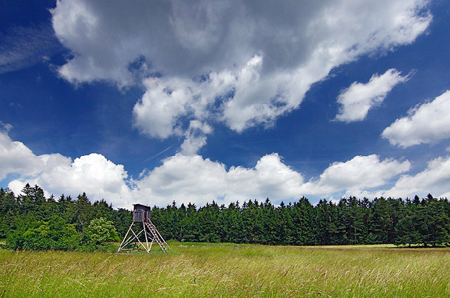 Louky a les u obce Vlastkovec, Česká Kanada