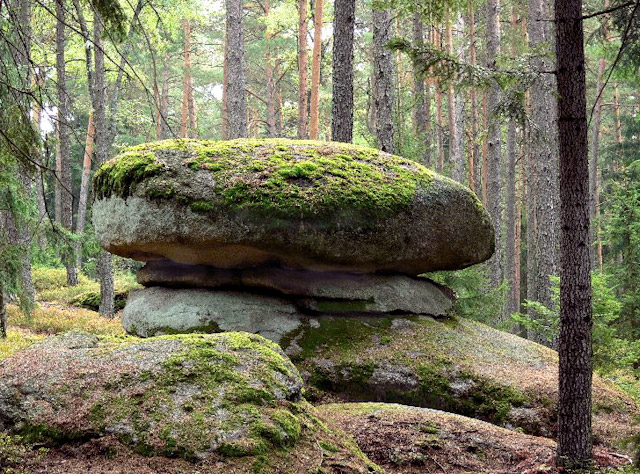 Kamenný hříbek u obce Stálkov, Česká Kanada