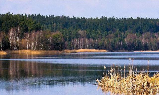 Krvavý rybník, přírodní park Česká Kanada