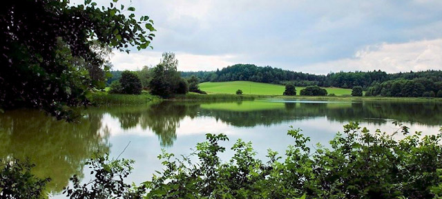 Panský rybník, přírodní park Česká Kanada