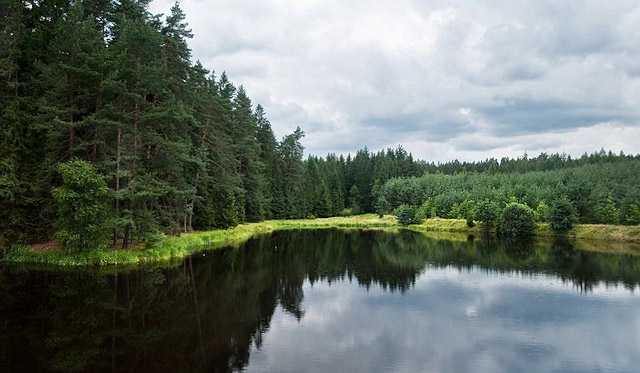 Pstruhový rybník, přírodní park Česká Kanada