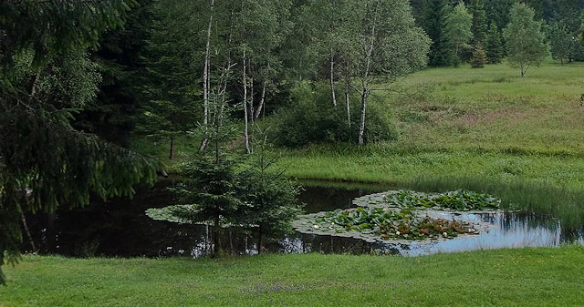 Rybníček Terezín, přírodní park Česká Kanada