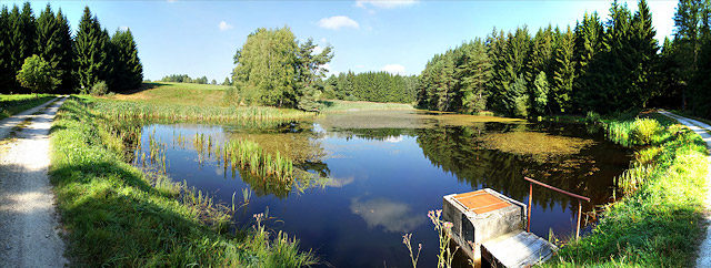 Rybník v přírodním parku Česká Kanada