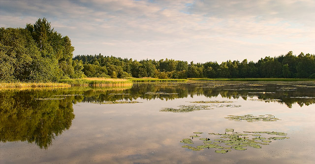 Rybník Skalák, přírodní park Česká Kanada