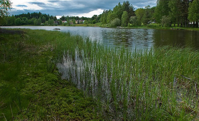 Rybník Zvůle, přírodní park Česká Kanada