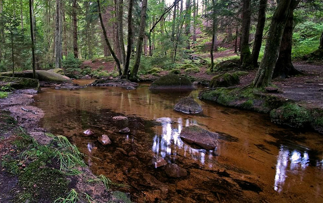Údolí Struha u Kunžaku, přírodní park Česká Kanada