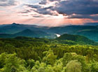 České středohoří představuje nejméně zalesněnou chráněnou krajinnou oblast v České republice. Lesnatost území je menší než 30 %.

